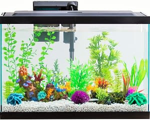 Best 20 Gallon Fish Tank Reviews Reviews For Aquarium